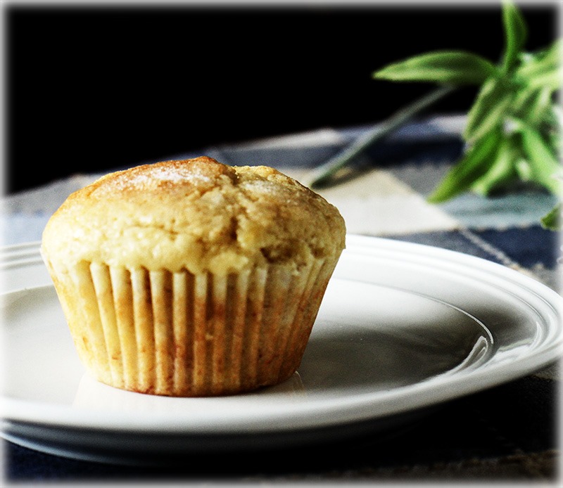 [muffin-on-a-plate%255B3%255D.jpg]