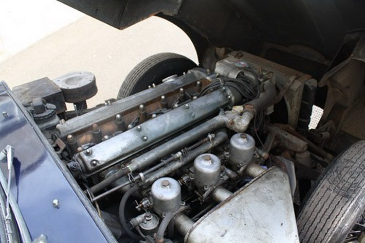 [Jaguar-Coys-3%255B2%255D.jpg]