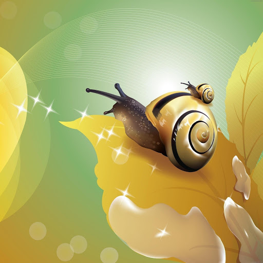 Hd-170263-ascw170263