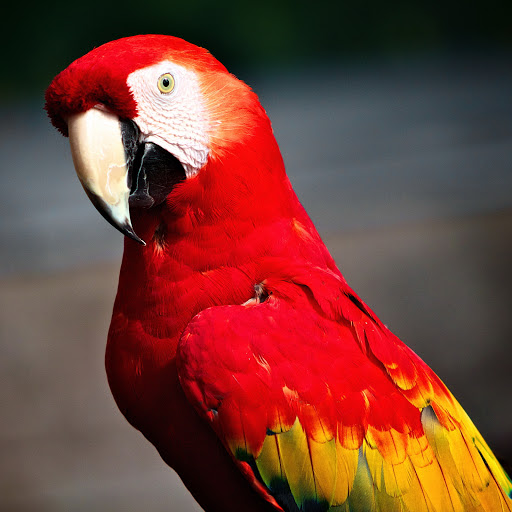 Hd-131028-ascw131028