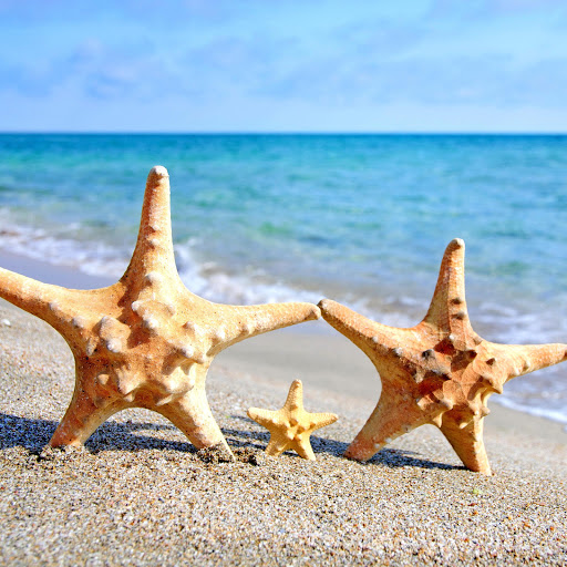 Hd-151870-ascw151870