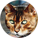 Dirk Johnen profile picture