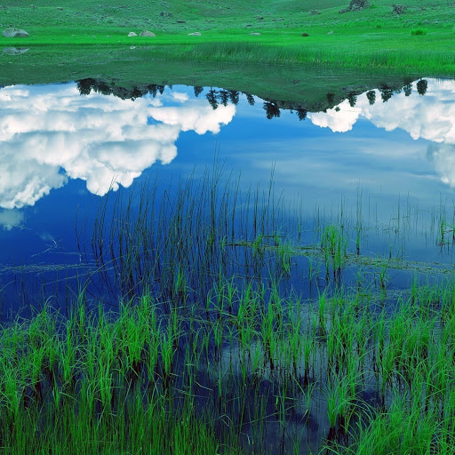 Hd-131291-ascw131291