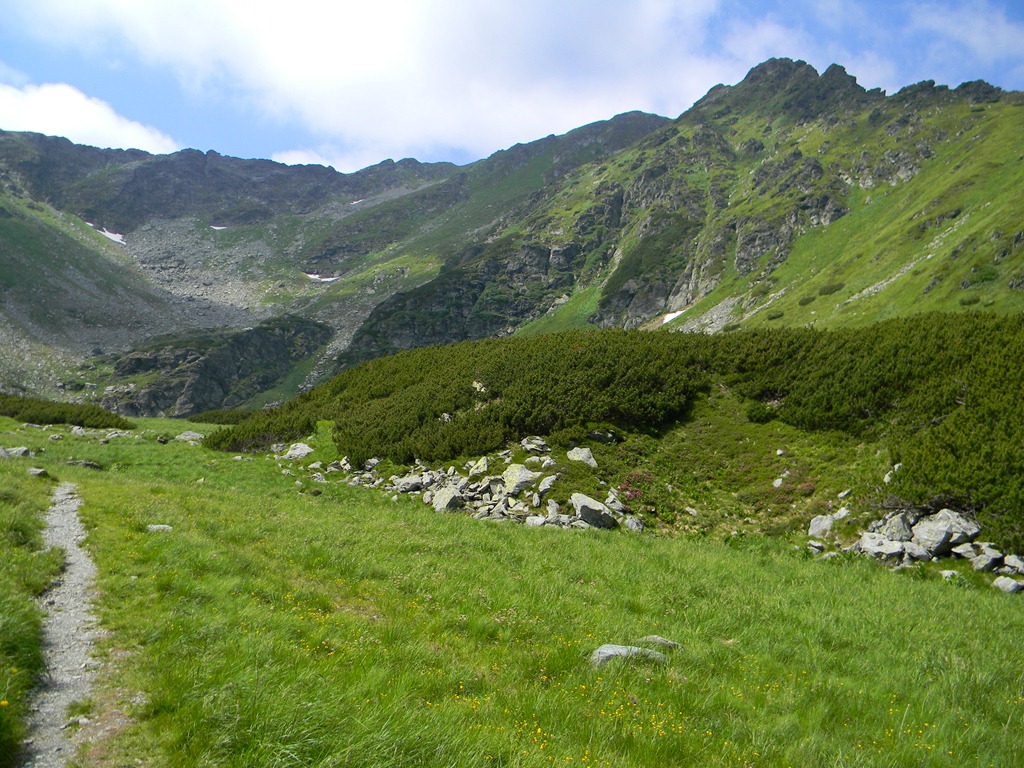 [DSCN7740%255B3%255D.jpg]