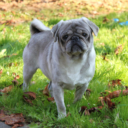 Hd-174136-ascw174136