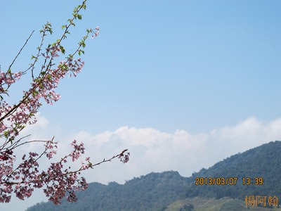 2013 恩愛農場 - 048