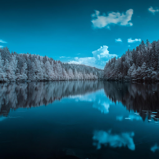 Hd-175077-ascw175077