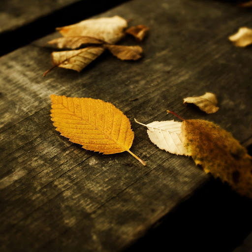 Hd-176241-ascw176241