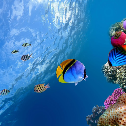 Hd-151709-ascw151709