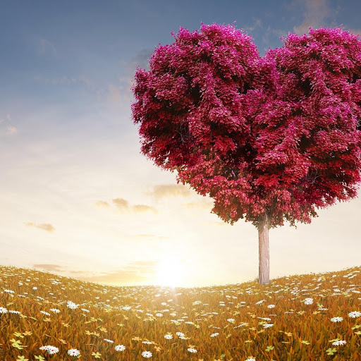 Hd-153035-ascw153035