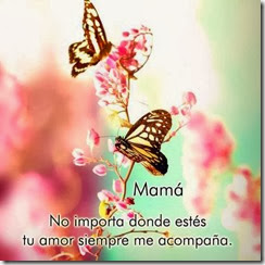 madres fallecidad (35) madres fallecidad (35)
