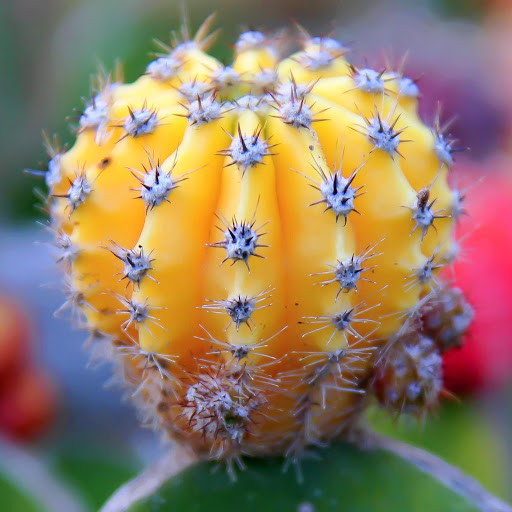 Hd-171646-ascw171646