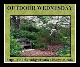 [Outdoor-Wednesday-logo_thumb4_thumb1%255B2%255D.png]