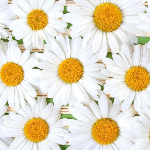 Hd-168379-ascw168379