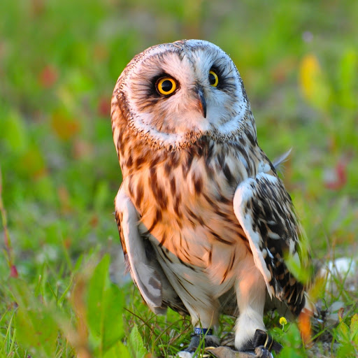 Hd-178283-ascw178283