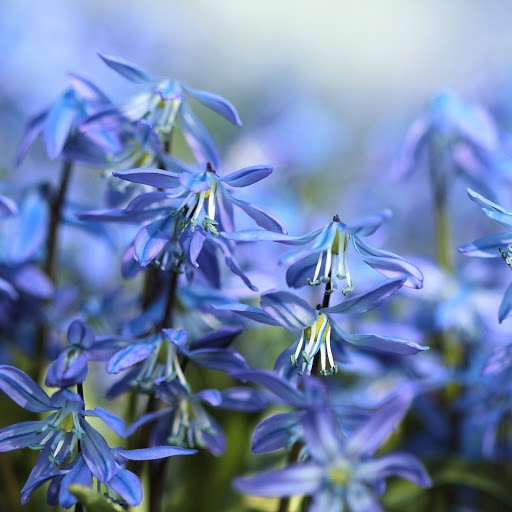 Hd-174743-ascw174743