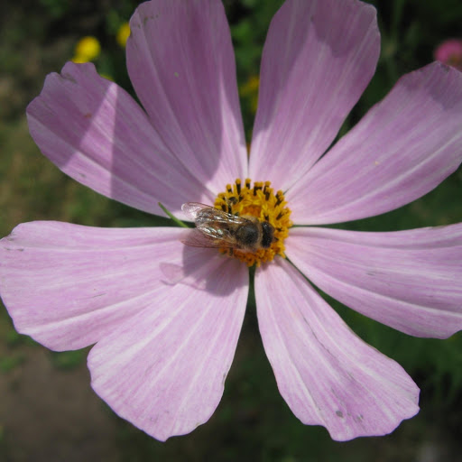 Hd-171291-ascw171291