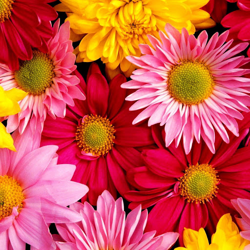 Hd-138842-ascw138842