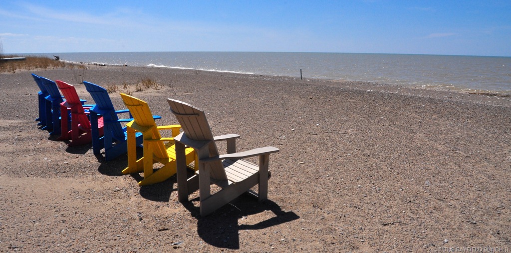 [DSC_0023%255B4%255D.jpg]