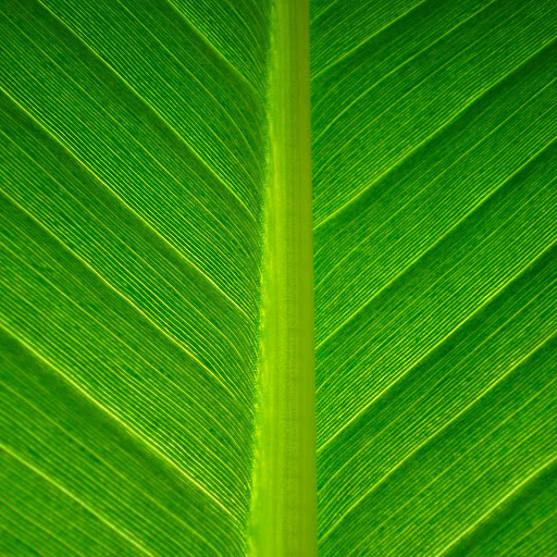 Hd-155761-ascw155761