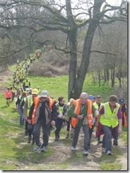 100 KM 2013 LES HERBIERS 038