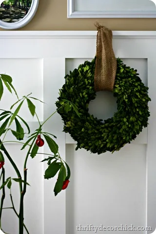 boxwood wreath christmas