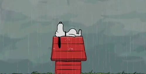 Snoopy.lluvia