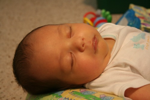 IMG_7866 IMG_7866