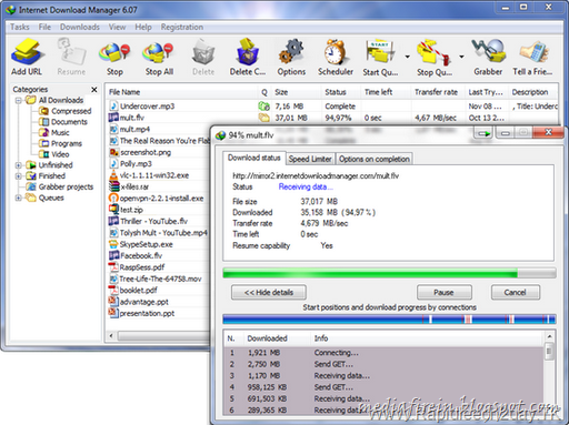 [Internet-Download-Manager-6.07-build%255B1%255D.png]