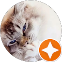 Christine P.,AutoDir