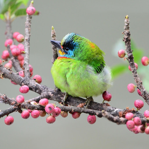 Hd-178336-ascw178336