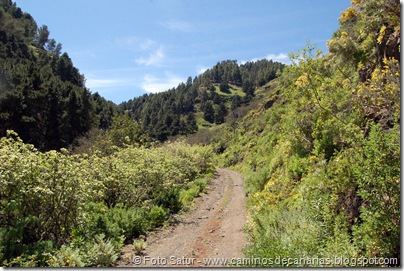 5620 Barranco de Crespo 5620 Barranco de Crespo