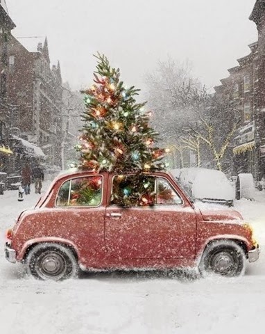 [Christmas%255B3%255D.jpg]