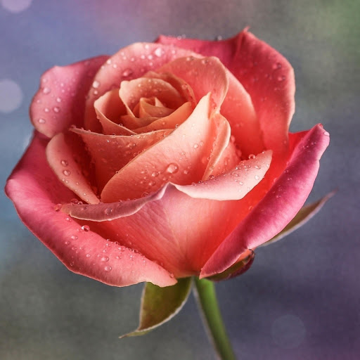 Hd-177042-ascw177042