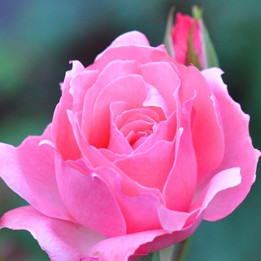 Hd-177098-ascw177098