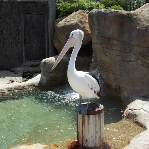 Hd-181289-ascw181289