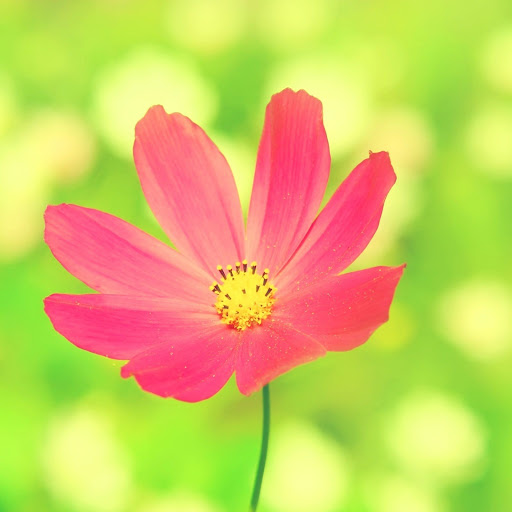 Hd-149387-ascw149387