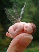 baby-fairy_poze mobil