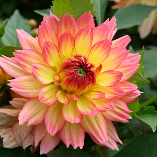 Hd-182342-ascw182342