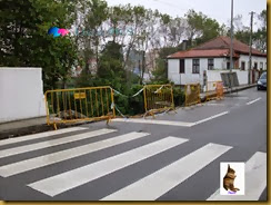 O desenvolvimento das Ruas de Espinho006Gazeta de Espinho