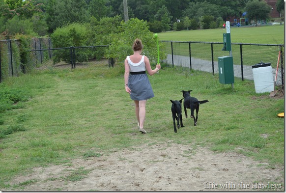 DSC_0255 DSC_0255