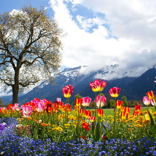 Hd-185370-ascw185370