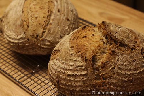 sourdough-seed-bread_1720