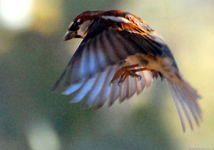 [DSC_0137%255B9%255D.jpg]