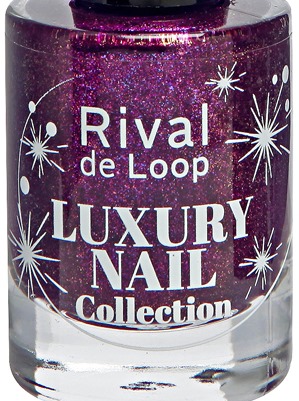 [Rival_de_Loop_Luxury_Nail_Collection_Nail_Colour_04_Plum_Parade%255B6%255D.jpg]