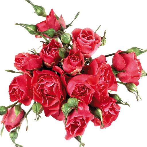 Hd-149239-ascw149239