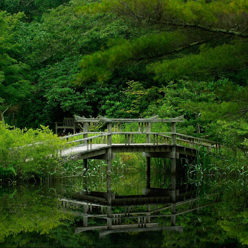 Hd-154022-ascw154022