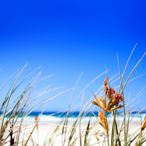 Hd-145718-ascw145718