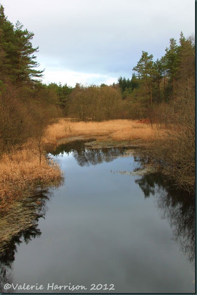 2-Penninghame-pond