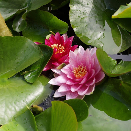 Hd-159390-ascw159390